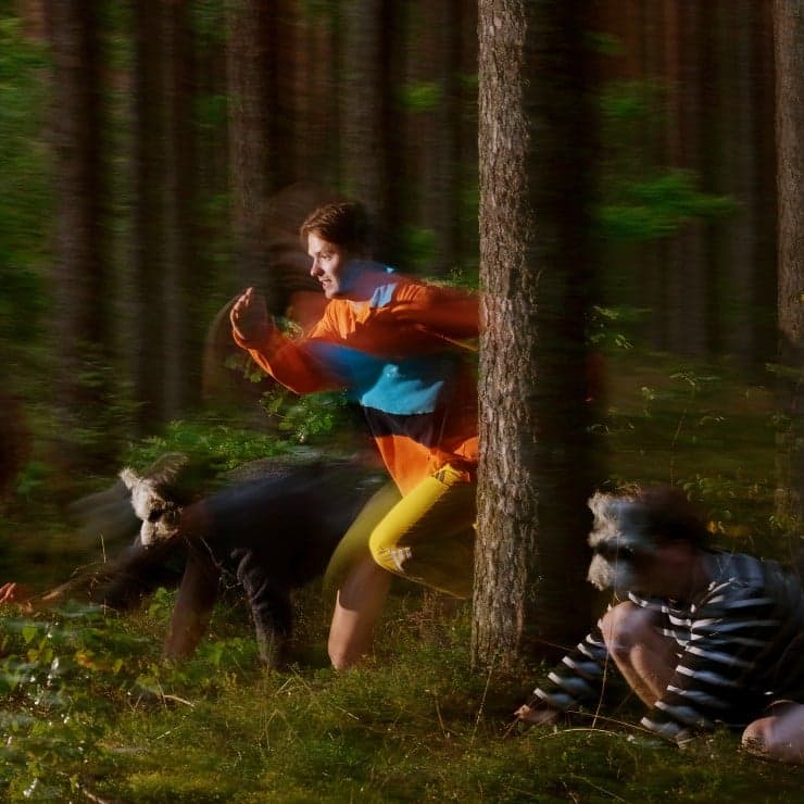 Plēsoņas