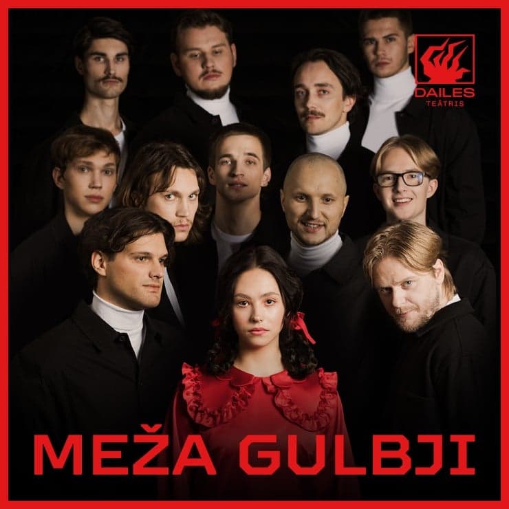 MEŽA GULBJI