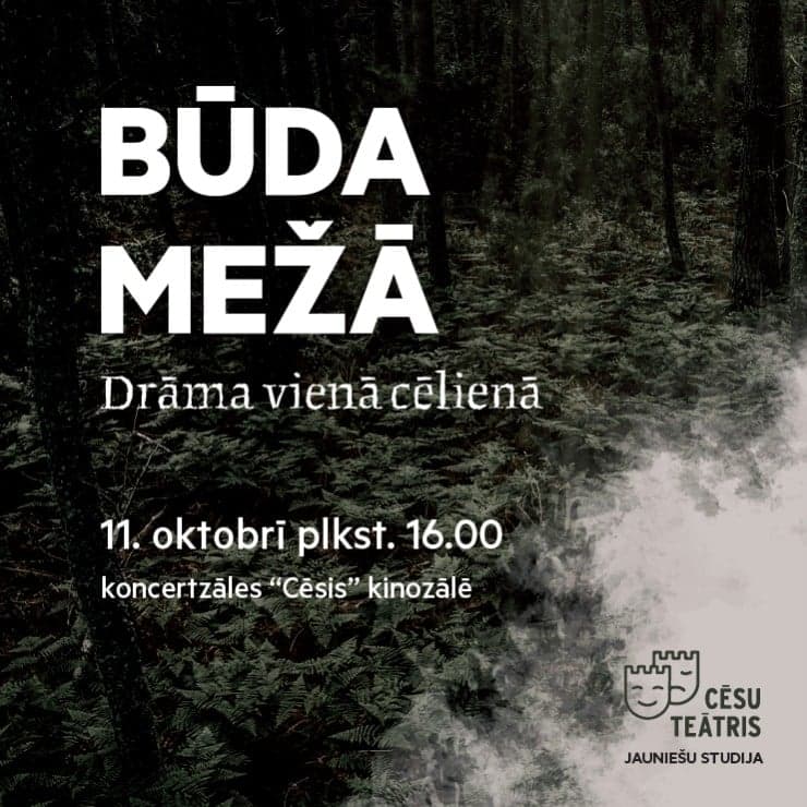 Cēsu teātra jauniešu studijas izrāde "Būda mežā"