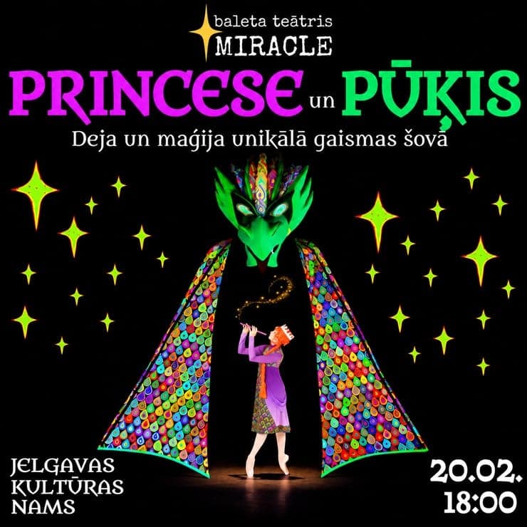 PRINCESE un PŪĶIS | Deja un maģija unikālā gaismas šovā