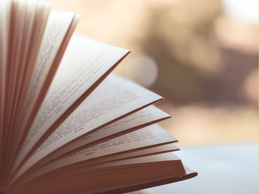 Krimuldas bibliotēkas lasītāju klubiņa tikšanās