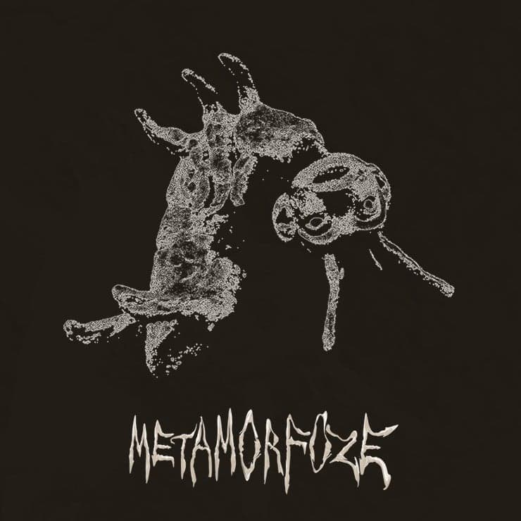 METAMORFOZE
