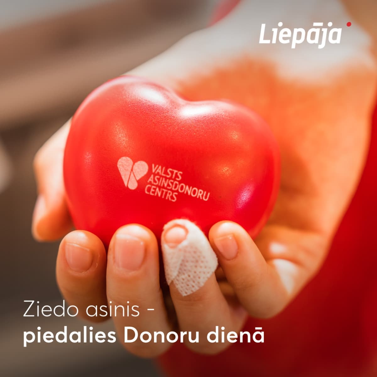 Donoru diena